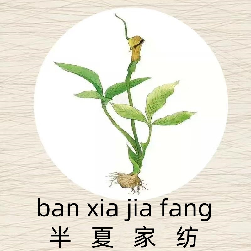 可可嘟毛巾浴巾批发部的LOGO