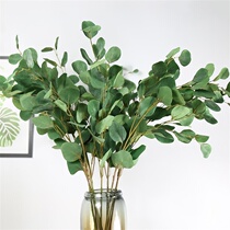 Nordic eucalyptus leaf simulation flower eucalyptus leaf simulation green leaf decoration single flower arrangement ins Wind