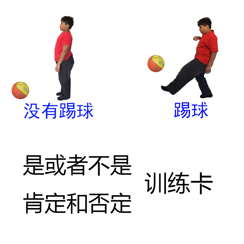 ABA cards for autistic children with intellectual disabilities Affirm negation is not a learning aid card training