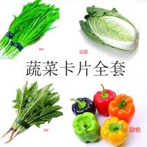 Vegetable card autism Autism ABA teaching practical card children language training rehabilitation training early teaching aids
