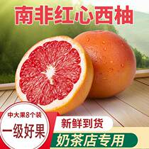 South Africa imported red heart grapefruit fresh 8-pack seasonal fruit tea wholesale whole box grapefruit pregnant fruit