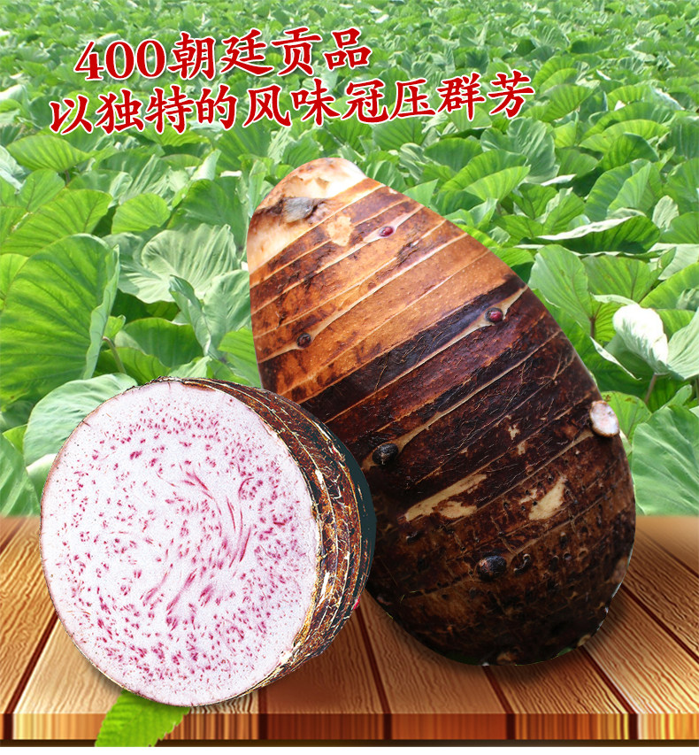 Guangxi Lipu fresh taro full tank 10 pound powder potato potato potato potato potato potato potato potato potato potato potato potato potato potato potato potato potato potato potato potato potato potato potato potato potato potato potato potato potato potato potato potato potato potato potato potato potato potato potato potato potato potato potato potato potato