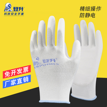 Dengsheng labor insurance Silicon-free PU669 with glue anti-static nylon electronic dust-free gloves wear-resistant summer thin work