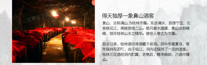 Sanhua Winery ВВЕДЕНИЕ-Description_18.jpg
