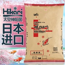 Japans original imported hikari cherry blossom feed koi fish feed increases body fish food and increases beauty koi fish food