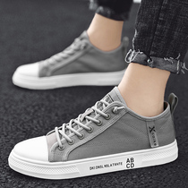 Sails Cloth Shoes Men 2021 Summer New Korean version 100 Hitchhiking shoes Low Help Old Beijing Bushoes casual breathable small white shoes