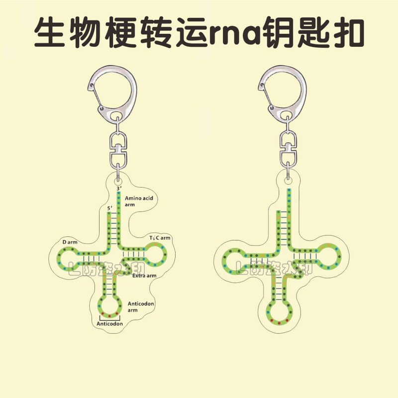 Biological Thermal Transfer Rna Keychain Trna Acrylic Trendy Fun Backpack Pendant Gift for Classmates