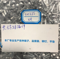 3*12 aluminum flat round head semi-hollow 12 yuan 1000 pieces 100000 pieces in warehouse