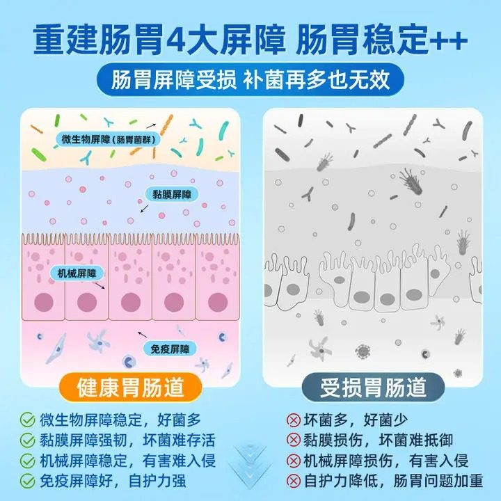 Schubert Probiotic Stomach Nourishing Powder for Adults, Children, Students, Pregnant Women, Pregnancy Probiotics Official Authentic Store