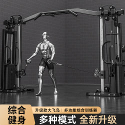 Big Flying Bird gantry fitness home multi-functional equipment commercial unilateral small flying bird comprehensive training equipment pull-ups