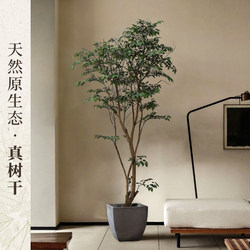 Haihong Yalin Artificial Green Plant, Light Luxury High-End Banyan Tree Potted Plant, Indoor Living Room Fake Tree Floor-Standing Ornament, Artificial Plant