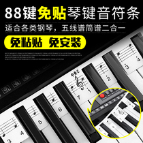 Piano Keyboard Sticker Electronic Piano Electronic Piano Keyboard Sticker Keyboard Bar 88 Key Five-Line Spectrum Summary Musical Notes Sticker