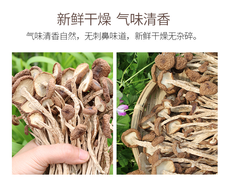 茶树菇干货农家自产新货冰菇不开伞500g