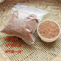 Rice tea sparse rice tea brown rice tea Hubei specialty Brown Rice Rice Rice rice tea scorched Rice rice tea boiled rice porridge Jingmen specialty tea