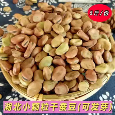 Broad bean dried broad bean Hubei specialty small seed broad bean self-planted soil broad bean pea small particle bean pea oil salt Bean