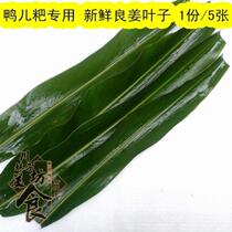 Fresh pig cake leaf duck cake special leaves 1 Part 5
