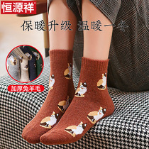 Hengyuanxiang warm socks womens velvet thickened tube plush socks Autumn and winter warm snow socks containing rabbit wool wool