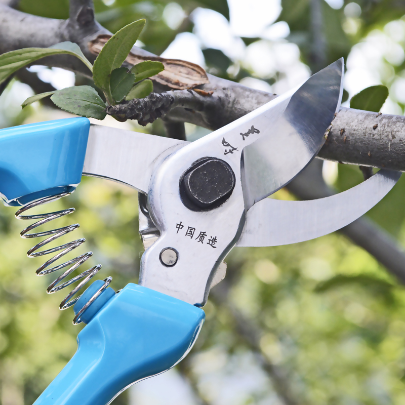 Meishi branch floral gardening scissors Fruit tree pruning shears Flower and wood coarse branch shears Garden tools Outdoor pruning shears