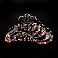 D666 Clorful-D Model