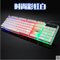 Redy Kay R260 Luminous Gaming Keyboard mechanical feel LOL CF suspended backlight USB notebook keyboard