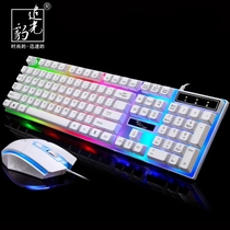 Chasing leopard G21 wired usb luminous game keyboard mouse computer mechanical hand feeling backlit keyboard mouse set