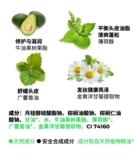 Сплошная шампунь для планеты Lagom Solid Shampoo Bar -mint