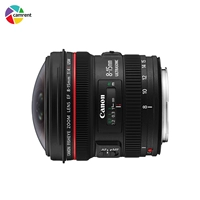 Cho thuê ống kính DSLR Ống kính mắt cá Canon 8-15mm f / 4L ong kinh