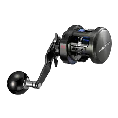 Daiwa Yamato SALTIGA BJ 100PL-RM 100SHL 200SHL Slow drum wheel