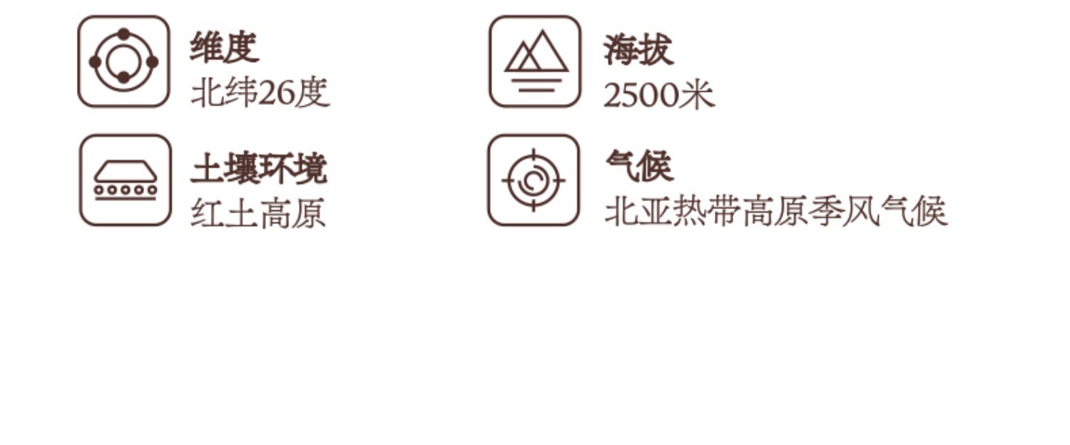 拉面说新品酸木瓜金汤牛肉拉面3盒