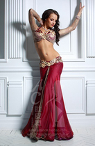 AC Belly Dance Professional Import High-end Customised Long Sleeves Performance Suit to serve the Scottish Burgundy Red