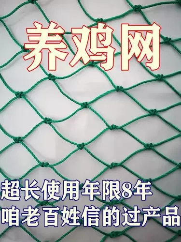 Куриная сети курица с сети рыбацкой сети сетевая сеть сета