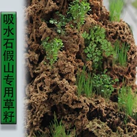 [Rochest Grass+жемчужная трава+бонсайская трава] каждая упаковка каждая