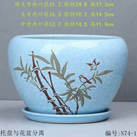 N74-1 Tianlan Bamboo