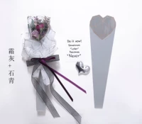 Аксессуар, 51×15см