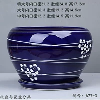 A77-3 Deep Blue Plum