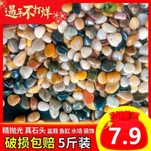 Цветочный горшок с галькой цвето