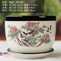 Павлин синий богатый благоприятный