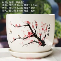 Счастливой бровь