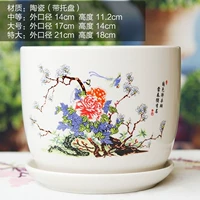 Изумрудный зеленый пион