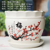 Армейская зеленая кружевная слива