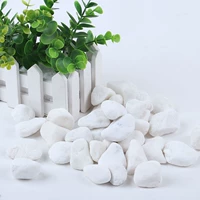 Белый камень 2-3 см пять фунтов