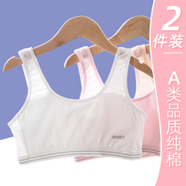 Girls Underwear Development Primary School Girls Childrens Vest 10-year-old 13-year-old Girl Underwear Bra Summer Thin