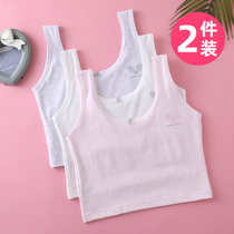 Girls underwear development Primary School students 13 years old 10 years old summer thin childrens vest wearing cotton girl bra