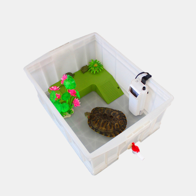 ຖັງເຕົ່າຂະຫນາດໃຫຍ່ທີ່ມີທໍ່ລະບາຍນ້ໍາຫນາກ່ອງການລ້ຽງ tortoise snapping turtle ສີຂາວຂະຫນາດນ້ອຍ ໜອງປາ Brazilian turtle basin turtle box