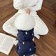 Хлопковая одежда для собак на четырех лапах: осенне-зимняя одежда для собак пород Тедди, Померанский шпиц, Бишон, Йоркшир (для маленьких собак)