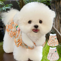 Pet Princess Dress with Leash, Dog Clothes for Cats, Teddy, Bichon, Pomeranian, Small Dogs, Yorkshire, Autumn and Winter Wear