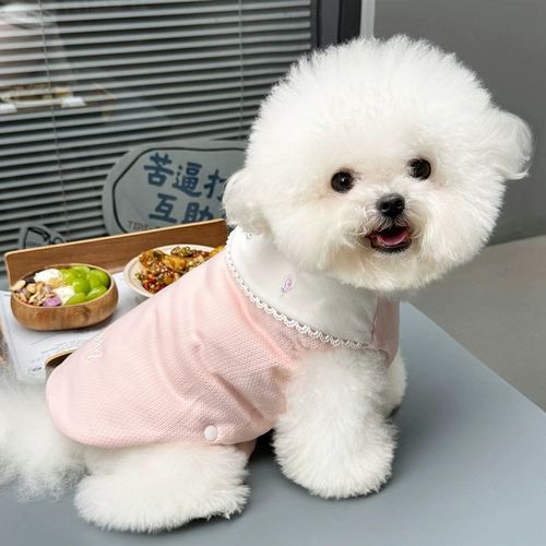 Съемное хлопковое пальто с защитой живота для щенков, одежда для домашних животных, осенняя и зимняя одежда Тедди Бишона, йоркширского кота, маленьких собак