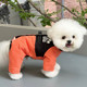 Pet Four-Legged Padded Coat with Leash Attachment, Dog Clothes for Teddy, Bichon, Pomeranian, Yorkshire Terrier, Small Dogs, Autumn and Winter Wear