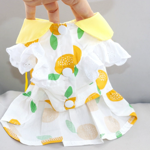 Собачья одежда Летняя тонкая юбка принцессы, VIP Pets Pet Cat Cat маленькая собака Bogei Летняя плюшевая юбка