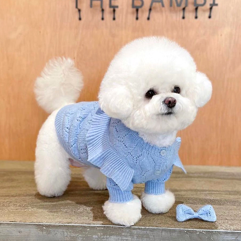 Bixin Pet Knitted Sweater Cat and Dog Clothes Teddy Bichon Pomeranian Schnauzer Small Dog Autumn and Winter Clothing Bixin Pet Knitted Sweater Cat and Dog Clothes Teddy Bichon Pomeranian Schnauzer Small Dog Autumn and Winter Clothing
